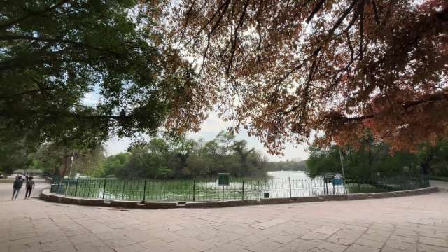 Scenic Walkway by the Lake in a Lush City Park