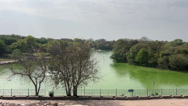 Serene View of Hauz Khas Lake Amidst Lush Greenery