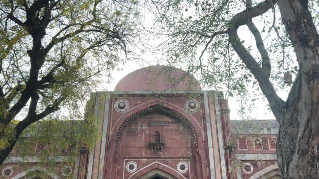 Historic Mughal Monument Amidst Lush Trees in Delhi