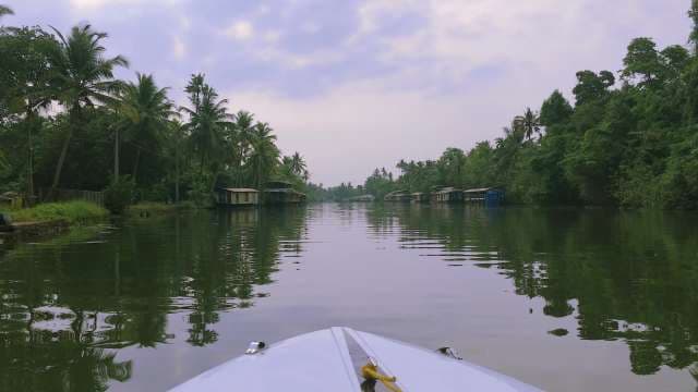 Cruising Kerala Backwaters: Scenic Boat Ride Through Lush Canals