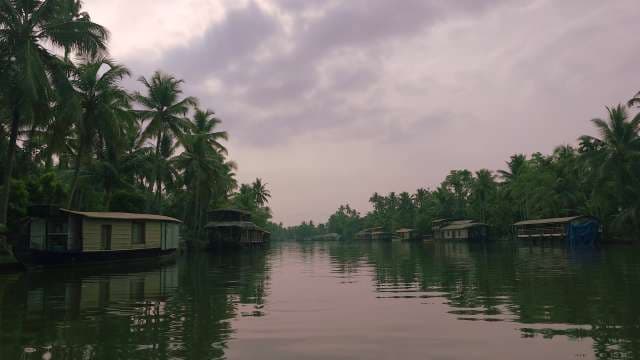 Serene Kerala Backwaters With Houseboats and Lush Palm Trees