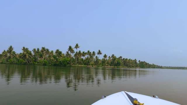 Serene Kerala Backwater Cruise Amid Coconut Palms
