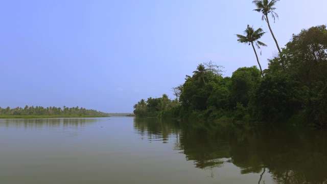 Tranquil River Landscape With Lush Greenery and Palm Trees