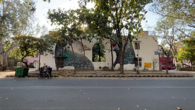 Majestic Bird Murals on Urban Building in Pune
