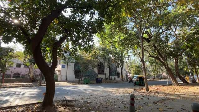 Peaceful Tree-Lined Street Scene in New Delhi