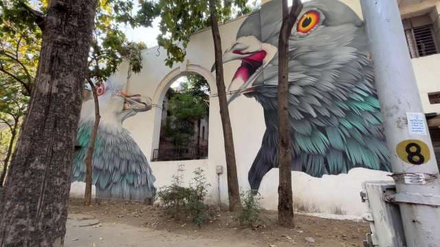 Giant Bird Murals Transform City Wall into Urban Art