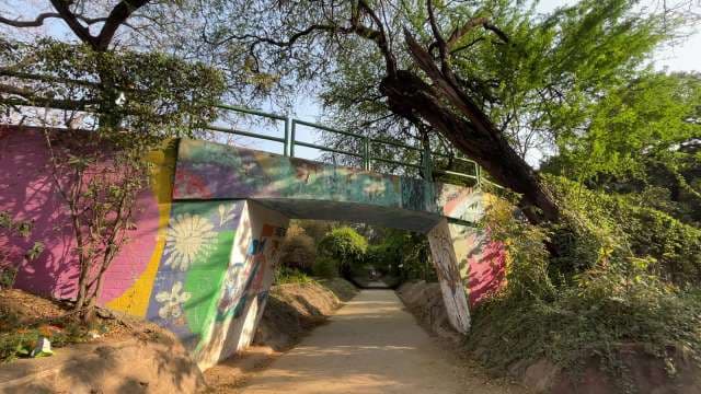 Colorful Underpass Mural Along Vibrant Nature Trail