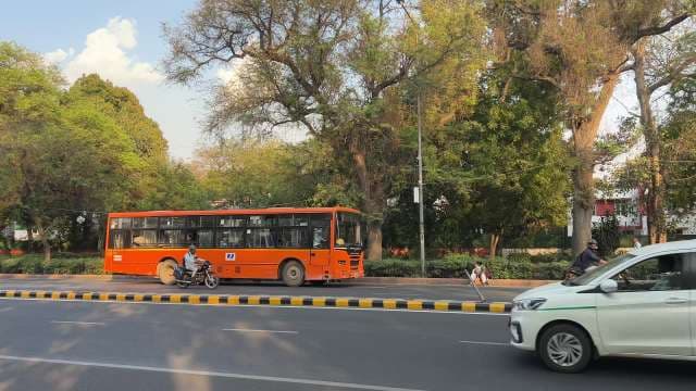 Orange City Bus Driving Through Lush Urban Street