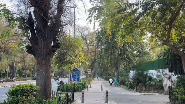Peaceful Urban Green Space in New Delhi Cityscape
