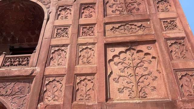 Intricate Red Sandstone Carvings of Mughal Architecture in Agra