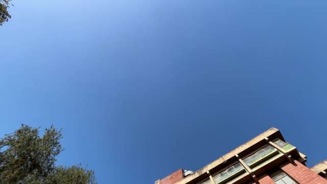Clear Blue Sky Over Urban Building and Trees