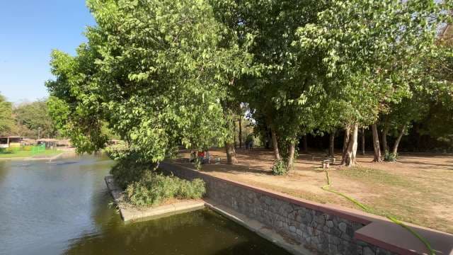 Sunny Day at Lush Riverside Park With Tree Shade