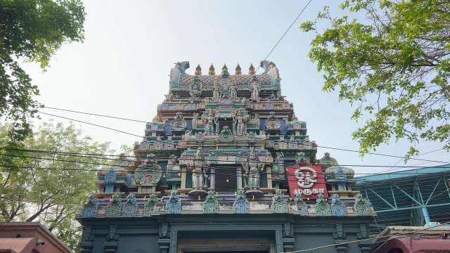 Intricate South Indian Hindu Temple Gopuram Architecture