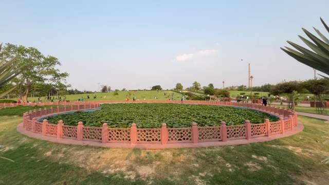 Serene Lotus Pond in Lush Urban Park Setting