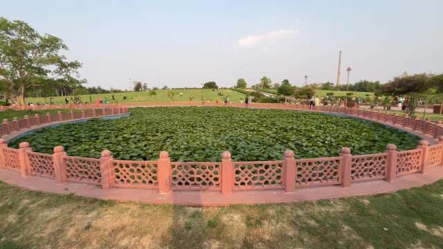 Beautiful Lotus Pond in Sunder Nursery Garden Delhi