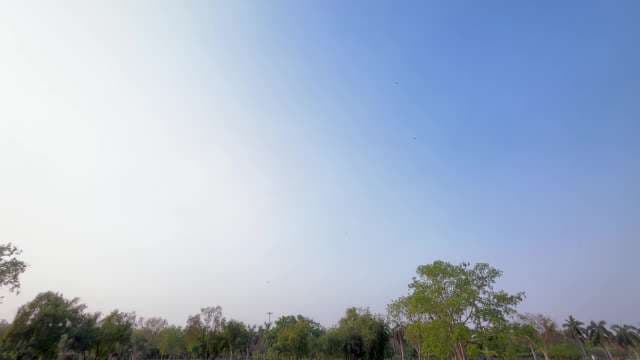 Serene Clear Blue Sky Above Lush Green Park