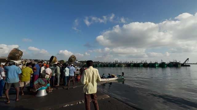 Morning Fish Market Scene at Chennai Fishing Harbor