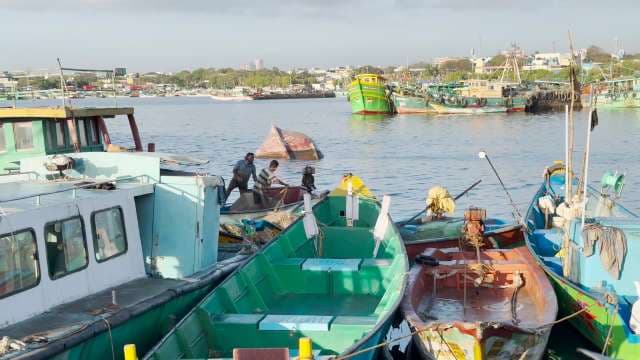 Colorful Fishing Boats Docked at Coastal Harbor