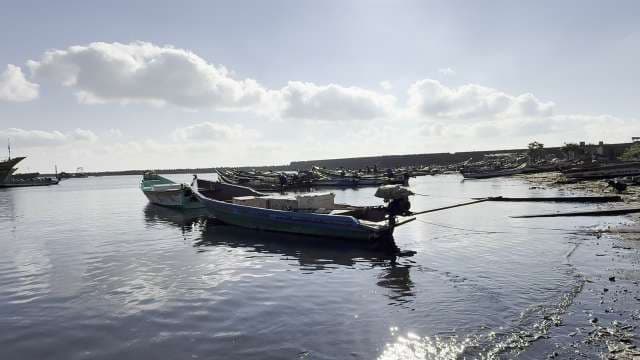 Traditional Fishing Boats Anchored at Coastal Jetty