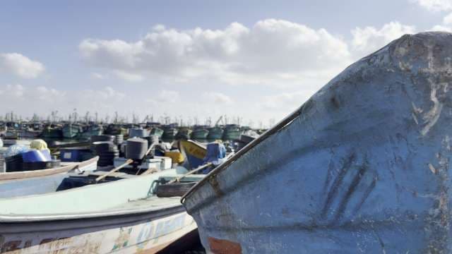 Colorful Fishing Boats Docked at Busy Coastal Harbor