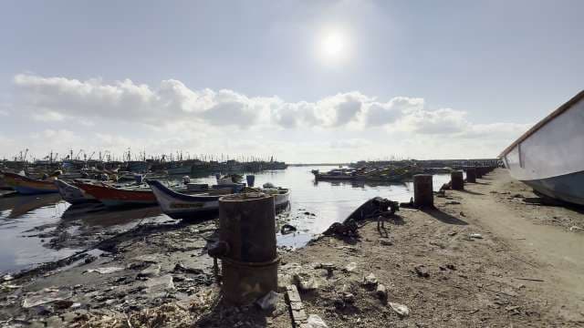 Busy Fishing Harbor With Colorful Boats at Sunrise
