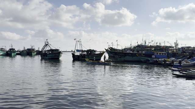 Traditional Fishing Boats Anchored at Indian Coastal Harbor