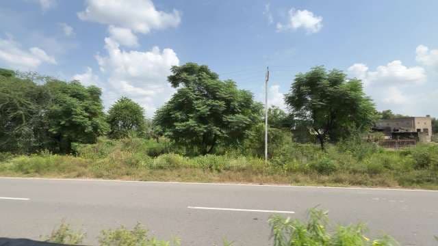 Scenic Rural Road With Lush Green Trees Under Blue Sky