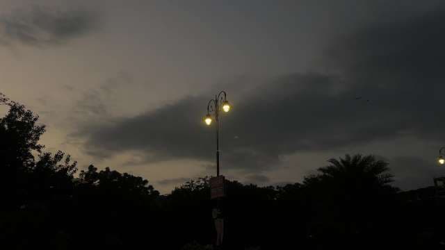 Street Lamps Illuminating Park at Dusk