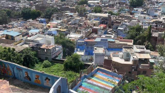 Colorful Jodhpur Cityscape With Murals and Rooftop Views