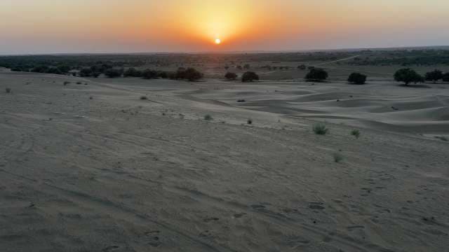 Stunning Desert Sunset Over Sand Dunes and Trees