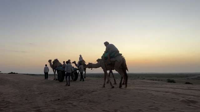 Sunset Camel Safari Adventure in the Desert