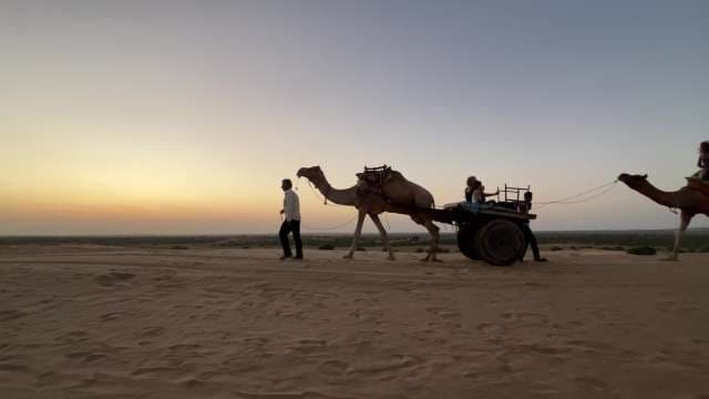 Sunset Camel Cart Ride Across Rajasthan Desert Sands