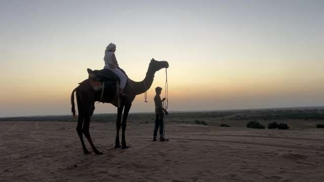 Camel Ride Adventure at Desert Sunset