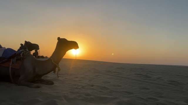 Camel Ride Through Desert at Sunset in Jaisalmer