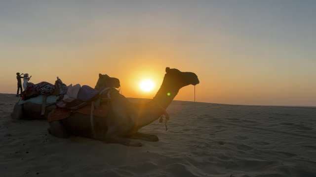 Majestic Camel Ride at Sunset in Desert Dunes