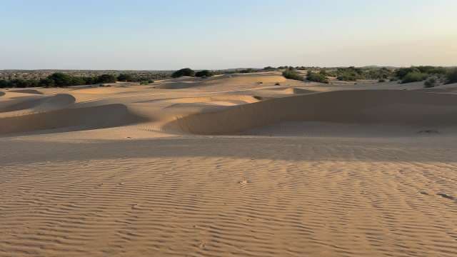 Golden Sand Dunes at Sunset in Thar Desert