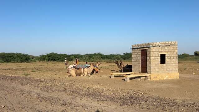 Camels Resting Near Desert Hut Under Clear Sky