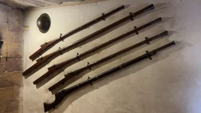 Historic Antique Muskets and Rifles Wall Display