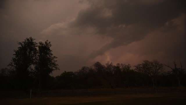 Dark Storm Clouds Rolling Over Forest Landscape