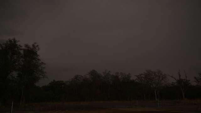 Dark Forest Landscape Under Cloudy Night Sky