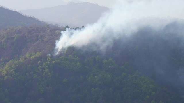 Wildfire Spreads Through Dense Forested Mountain Valley