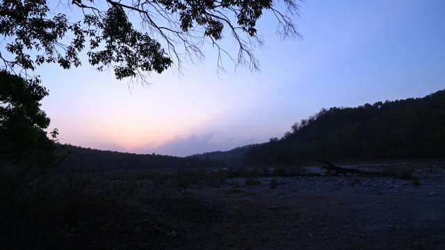 Serene Sunset Over a Tranquil Forest Landscape