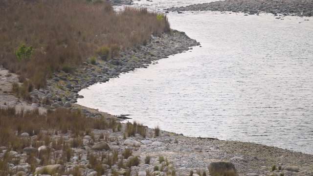 Serene Riverside Landscape With Rocky Shoreline and Vegetation