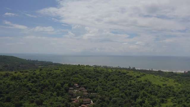 Aerial View of Lush Coastal Greenery and Ocean Horizon