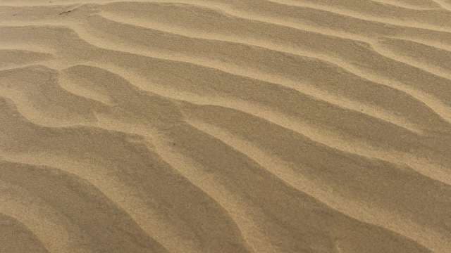 Windswept Sand Dune Patterns in the Desert