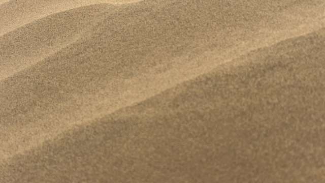 Sweeping Sand Dune Waves in the Desert Sunlight