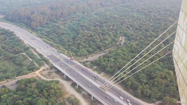 Aerial View of Signature Bridge Amid Lush Green Forest