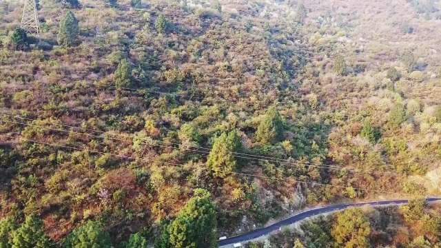 Aerial View of Winding Mountain Road Through Forest Landscape