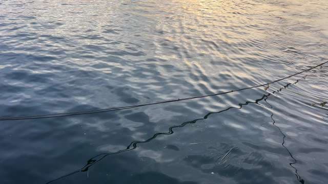 Sunset Reflections on Calm Water with Dock Ropes
