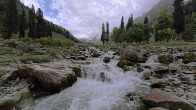Pristine Mountain Stream Flowing Through Alpine Forest Valley